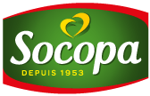 Socopa